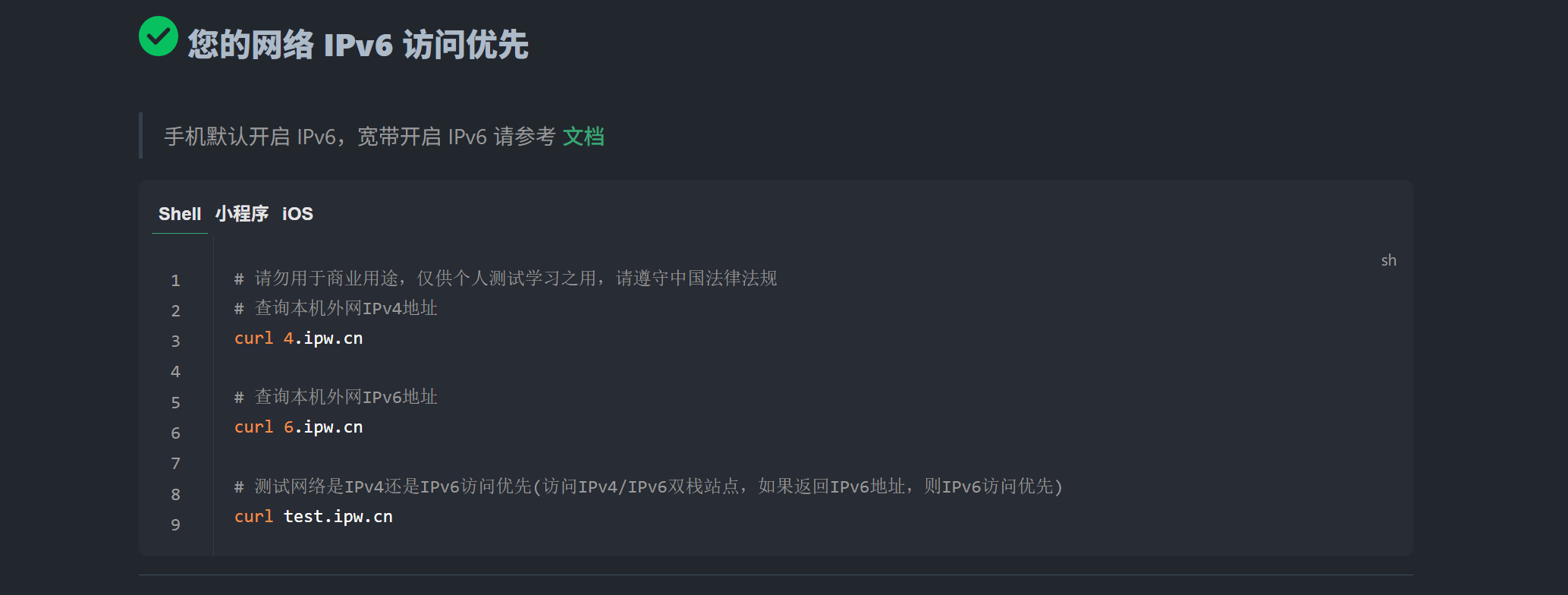 IPv6 检测示意图