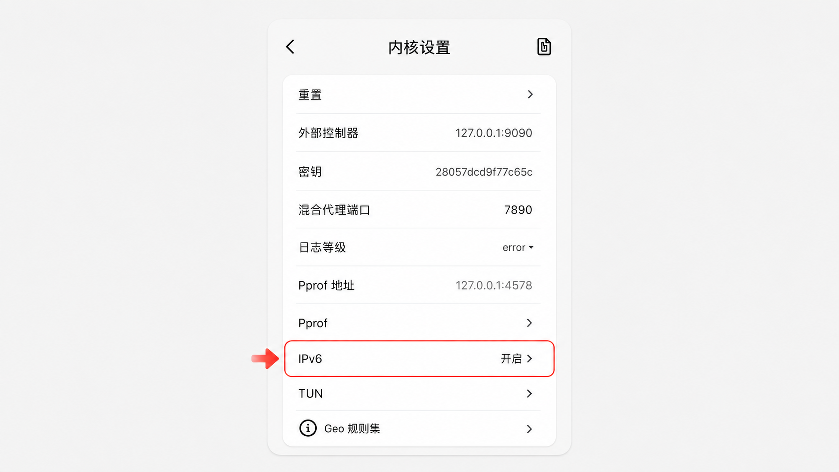 第 8 步：开启 IPv6